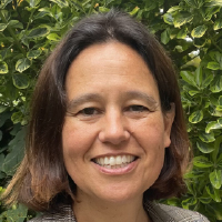 foto-boeve foto-boeve